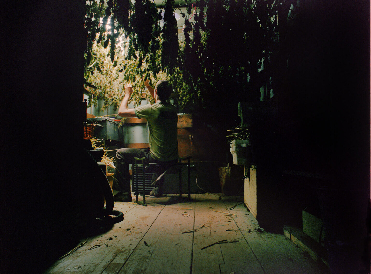 in the drying room