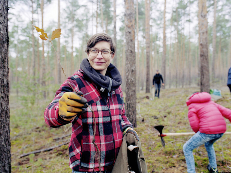 solutions tinaeichner bergwaldprojekt2