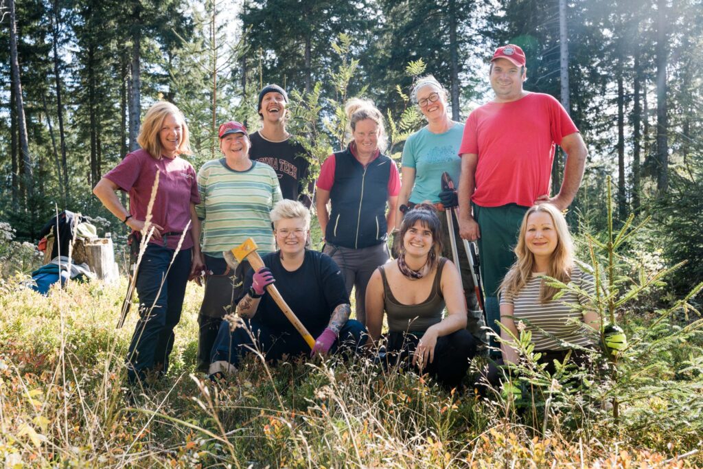 inklusive einsatzwoche in belchen vom bergwaldprojekt, habitatschutz für das auerhuhn