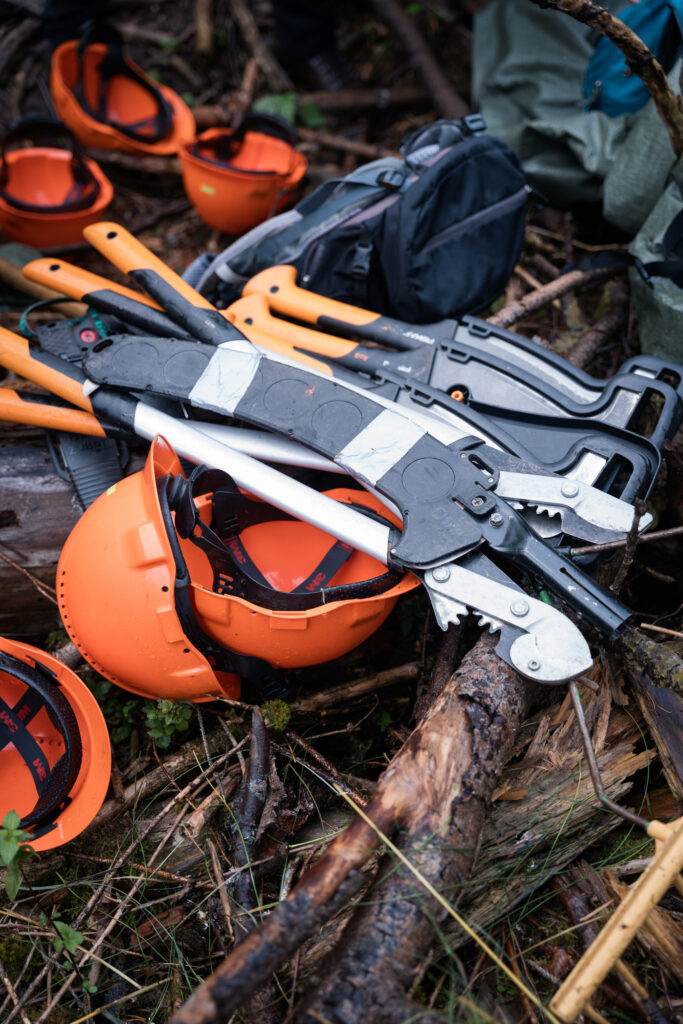 bergwaldprojekt einsatz in neukirchen knüll