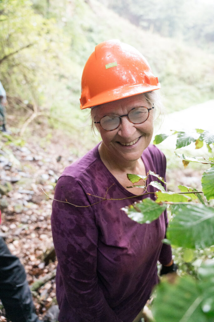 bergwaldprojekt einsatz in neukirchen knüll