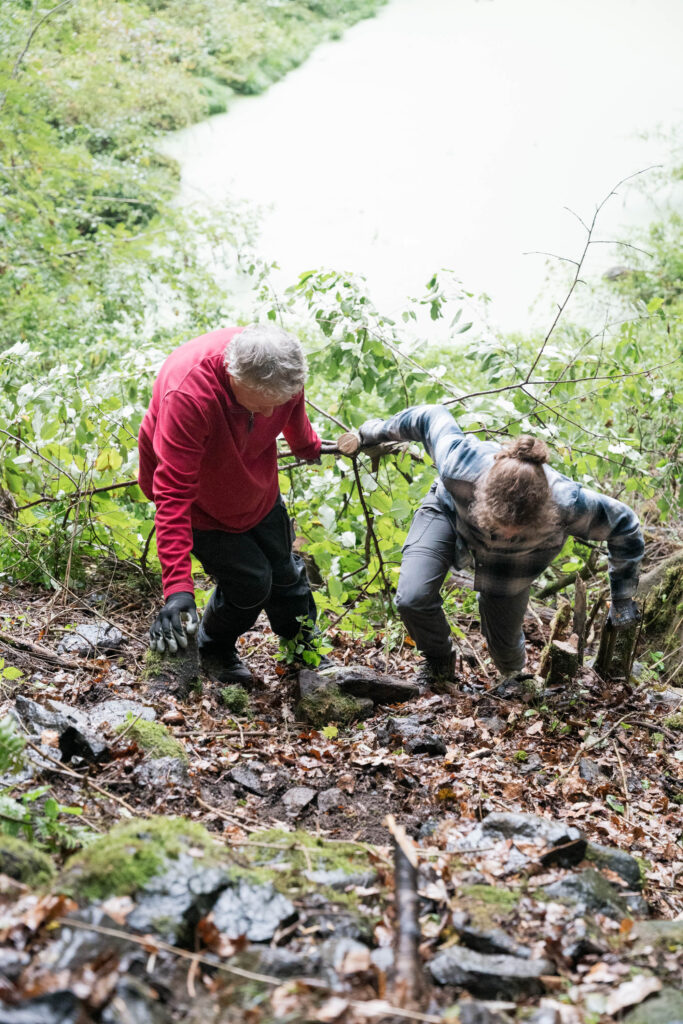 bergwaldprojekt einsatz in neukirchen knüll