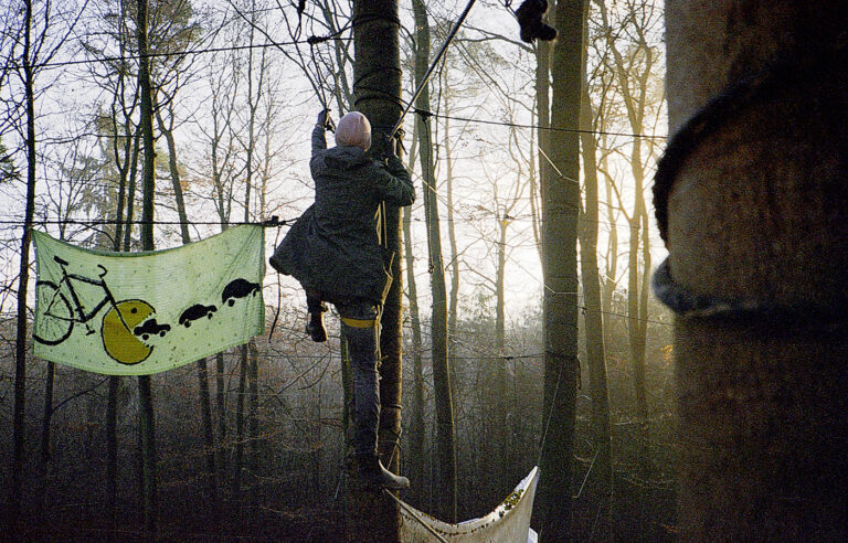 tinaeichner danneröderforst(33)