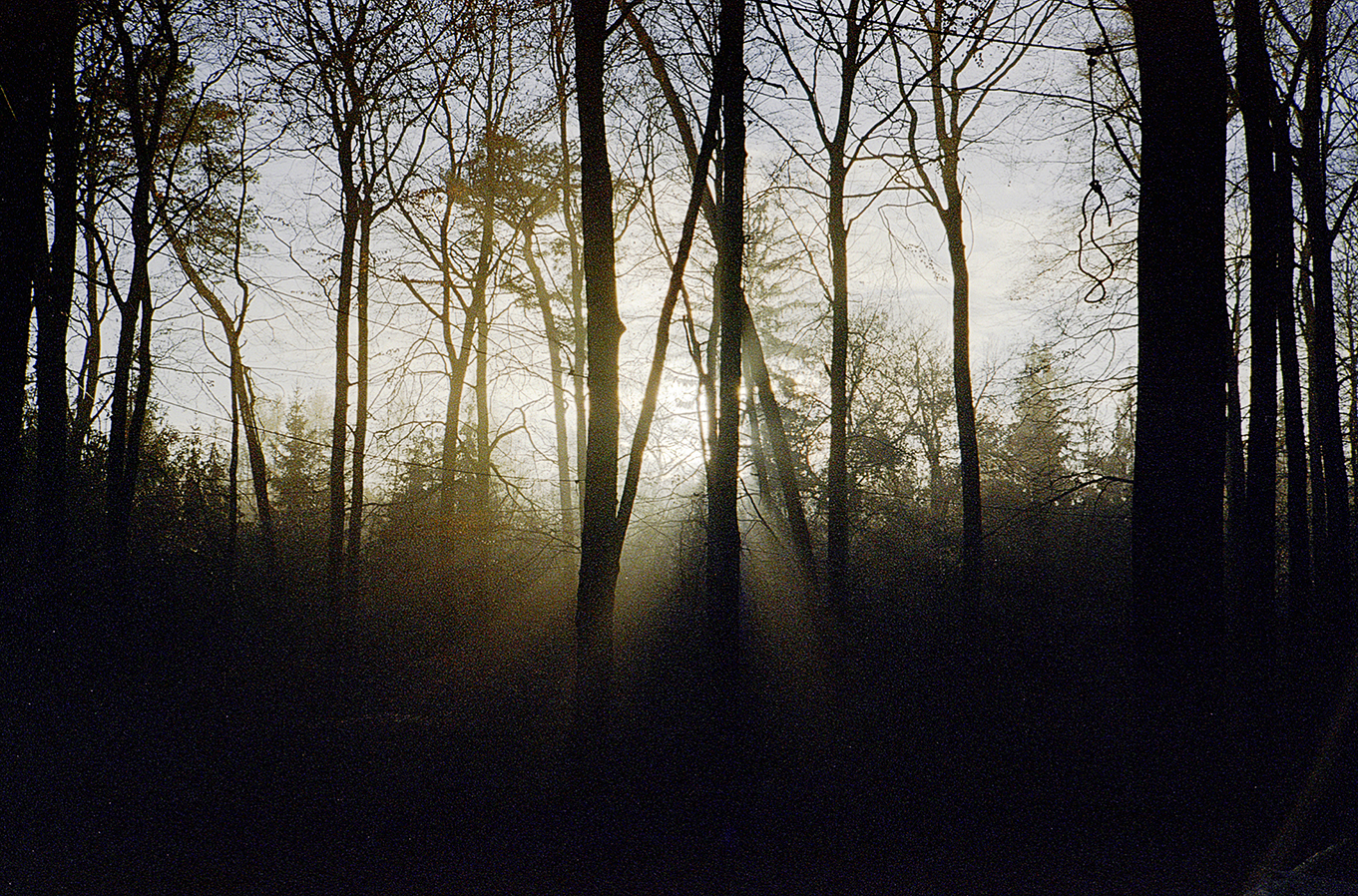 tinaeichner danneröderforst(36)
